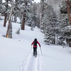 Jones High Sierra Schneehose Stealth Black Herren -Snowboards Verkäufe jones high sierra pant stealth black 05 grosswzuHXuOY1M5As