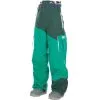Picture Styler Snowboardpant Green Herren -Snowboards Verkäufe picture styler pant mpt060 green grossXi6z1kFWDVbkC